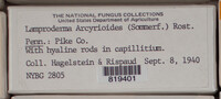 Image Associated With the Occurence